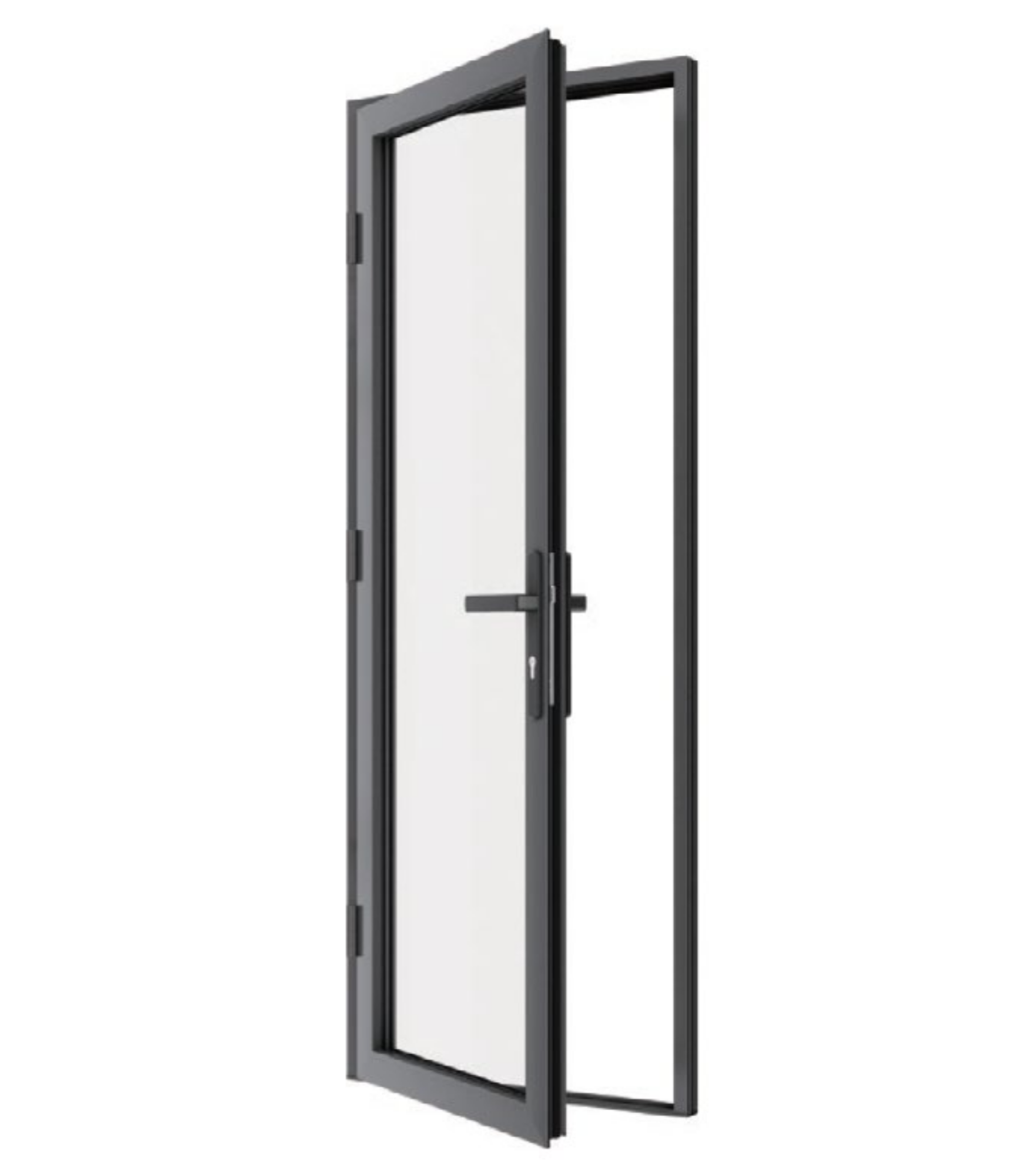 VLX 100 Swing / Entry Door in Coral Springs, FL | TruePane Windows & Doors - detail 2