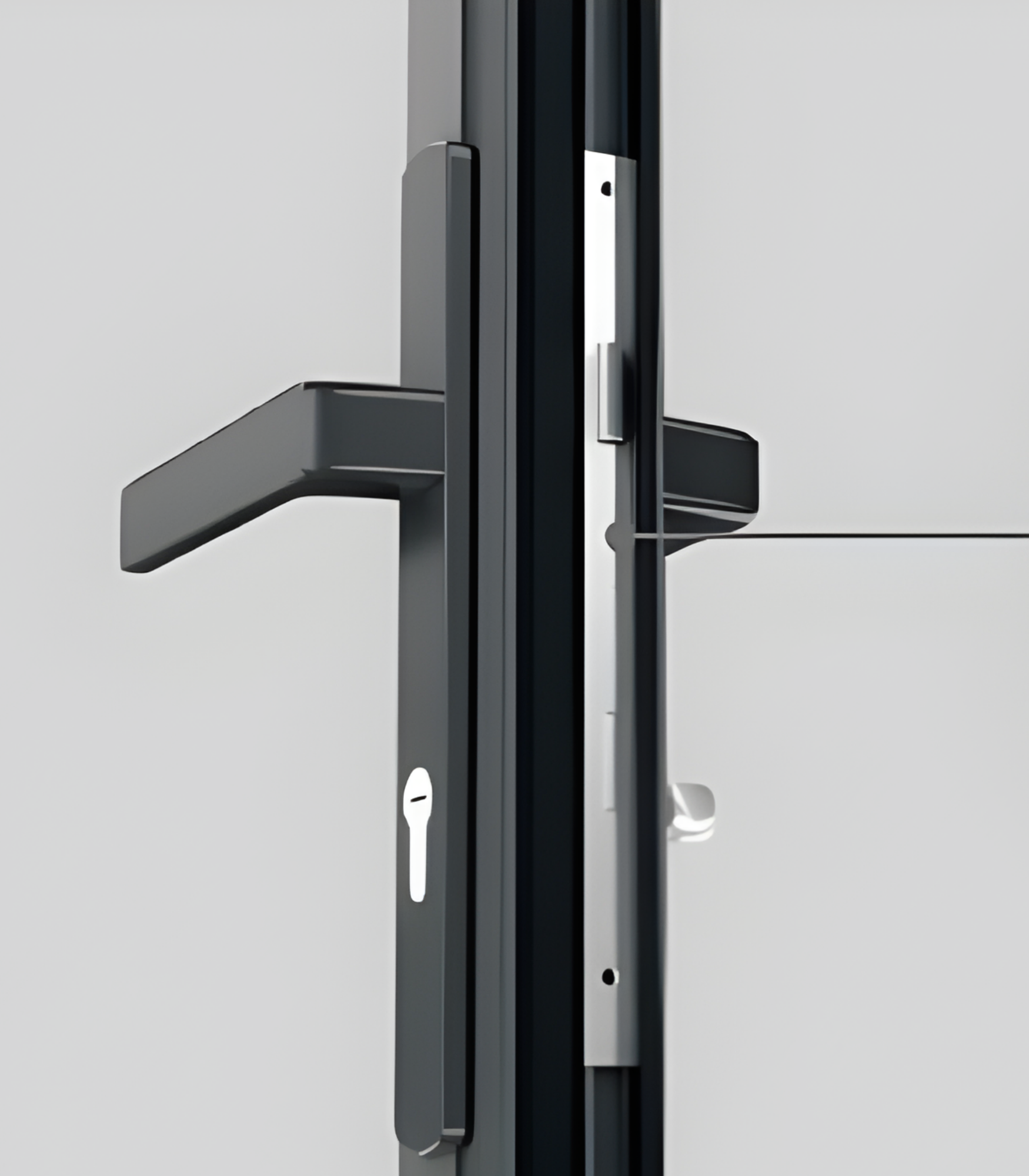 VLX 100 Swing / Entry Door in Coral Springs, FL | TruePane Windows & Doors - detail 5